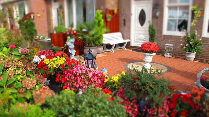 Beneficios de tener jardín propio en casa