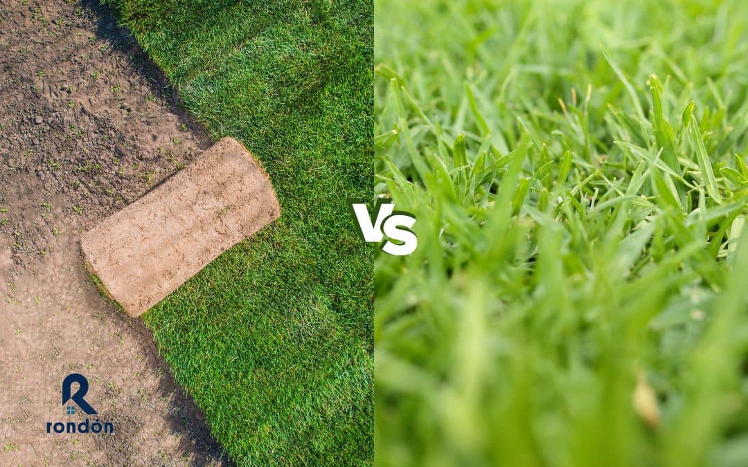 césped natural o artificial ¿Cuál elegir?