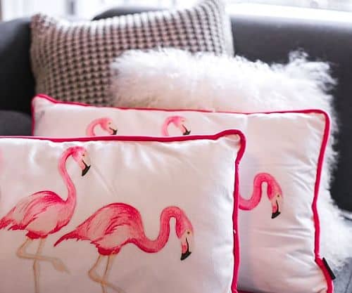 Cojines con diseños