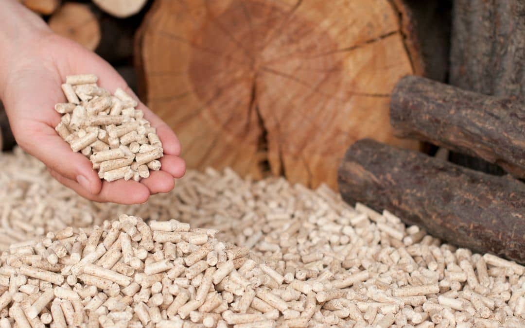 combustible pellet para calefacción de biomasa