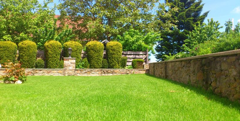 cortacésped conoce sus tipos para el jardín