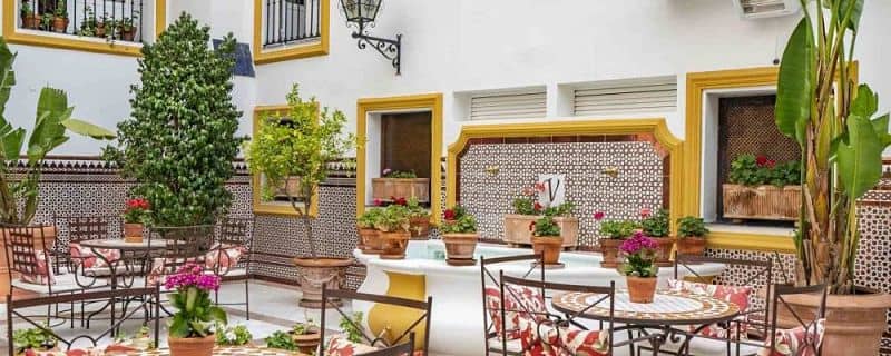 Decoración patio andaluz plantas