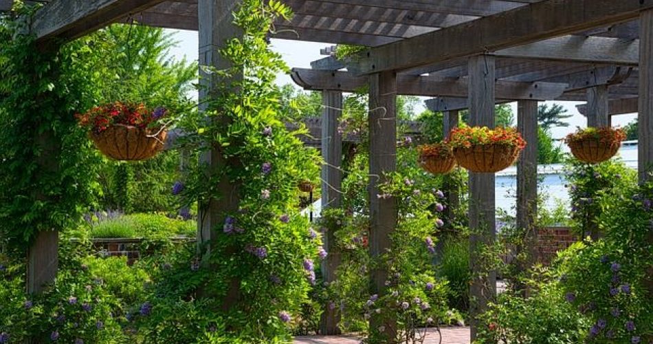 Cómo cuidar tu jardín