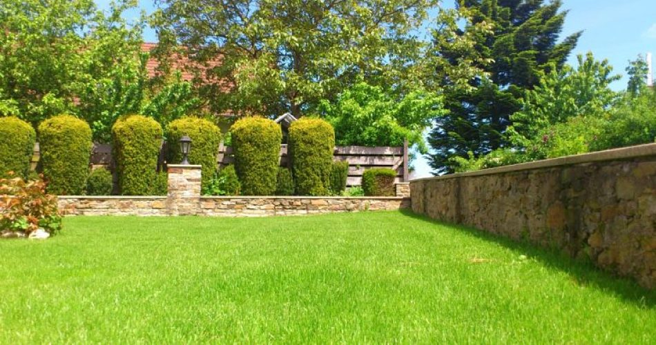 cortacésped conoce sus tipos para el jardín