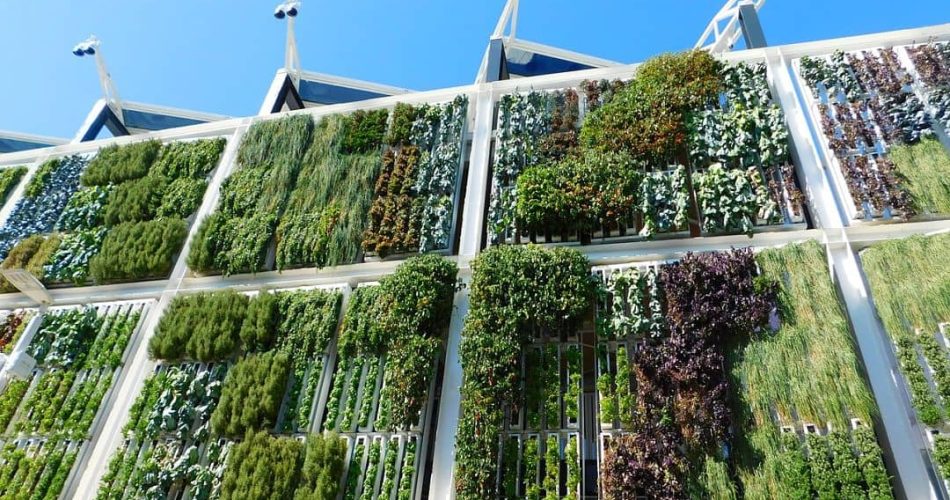 jardín vertical ventajas