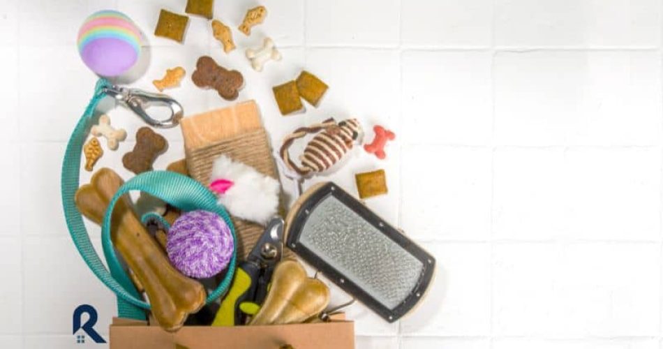 Juguetes interactivos