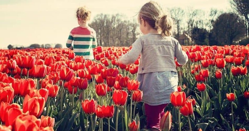 Novedades en Primavera