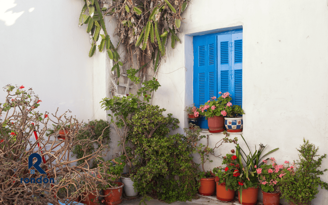 Sácale provecho a tu jardín pequeño