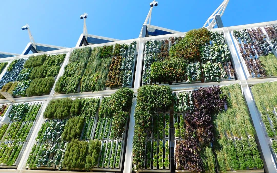 jardín vertical ventajas