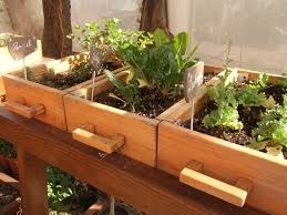 Huerto Jardín huerto jardín