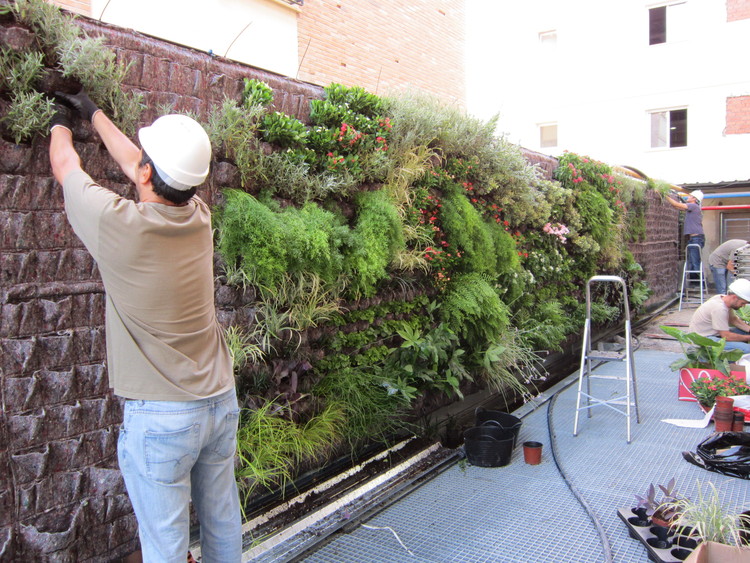 montaje jardín vertical