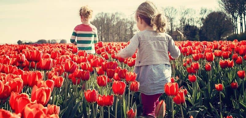 Novedades en Primavera