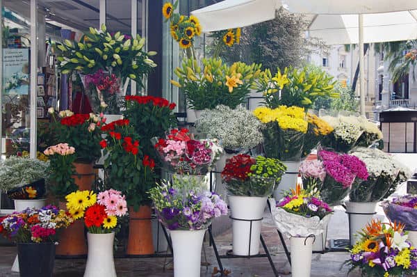 Regalar flores para el Día de Todos los Santos