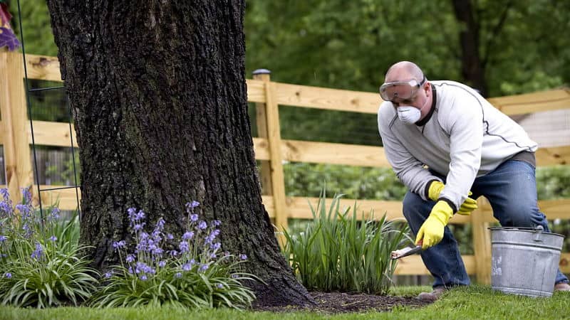 Regalo original para el Padre