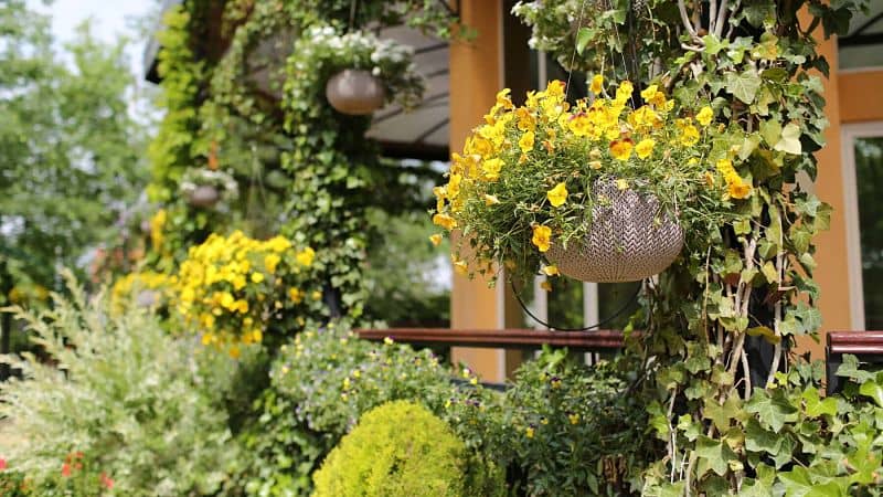 Tendencia en Jardín 2021