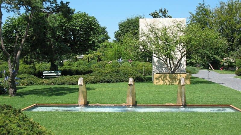 tipo de césped cómo elegirlo