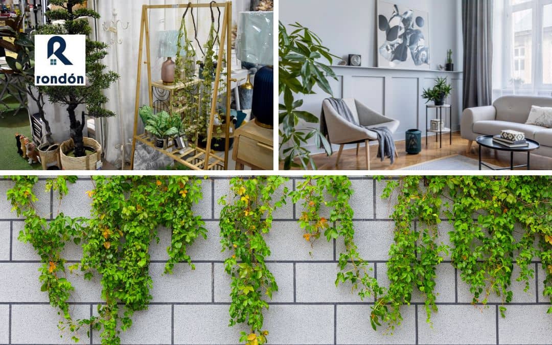 Vegetación chill out