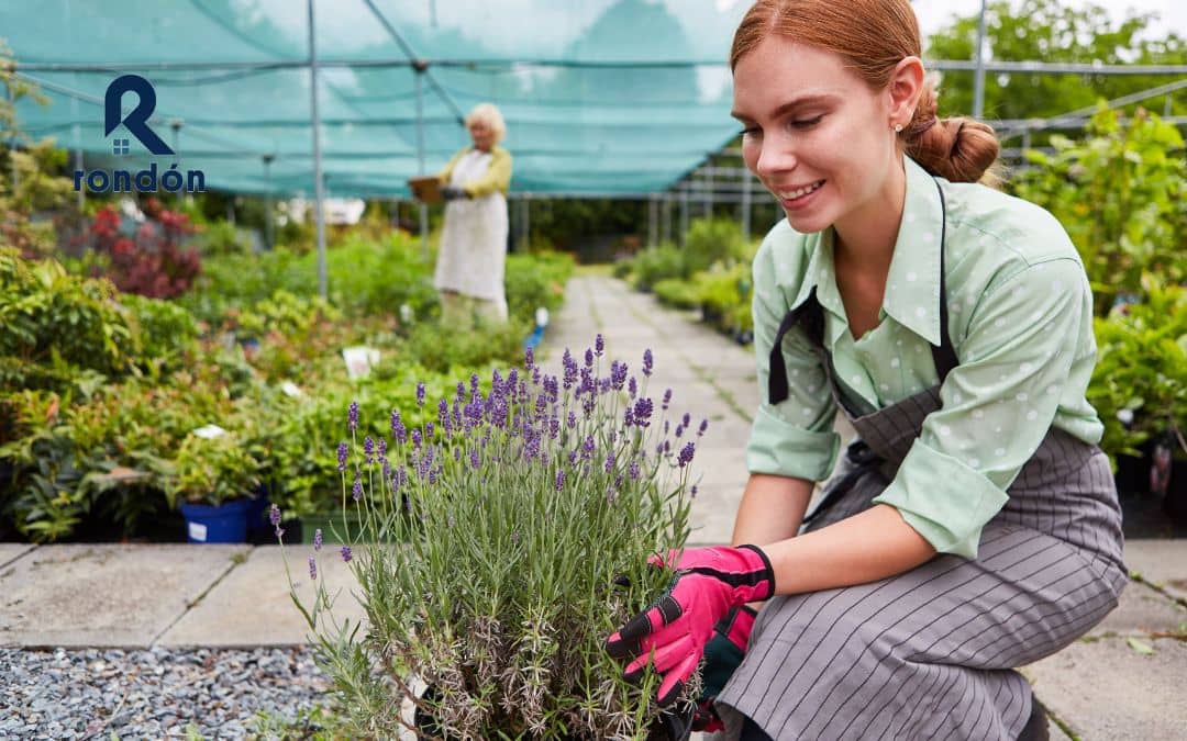 Ventajas de mallas de sombreo